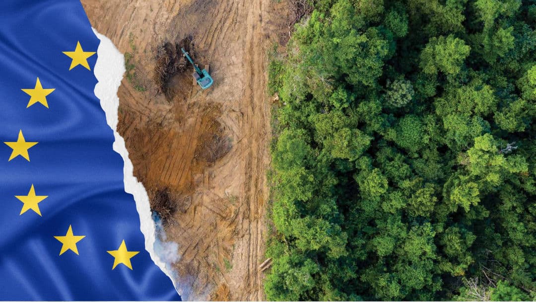 ¿Europa nos pone en la mira? Argentina fue clasificada como país con riesgo de deforestación por la UE y crece el malestar en el agro
