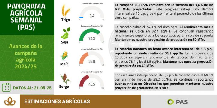 Con el pie derecho: comenzó la siembra de trigo y proyectan la mayor superficie en cinco campañas