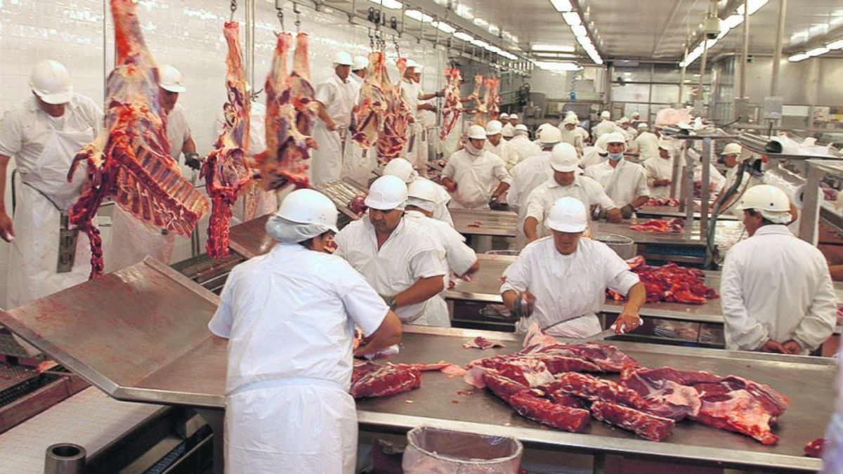 "Cae China": la carne argentina perdió más de US$140 millones por el desplome de sus exportaciones al gigante asiático