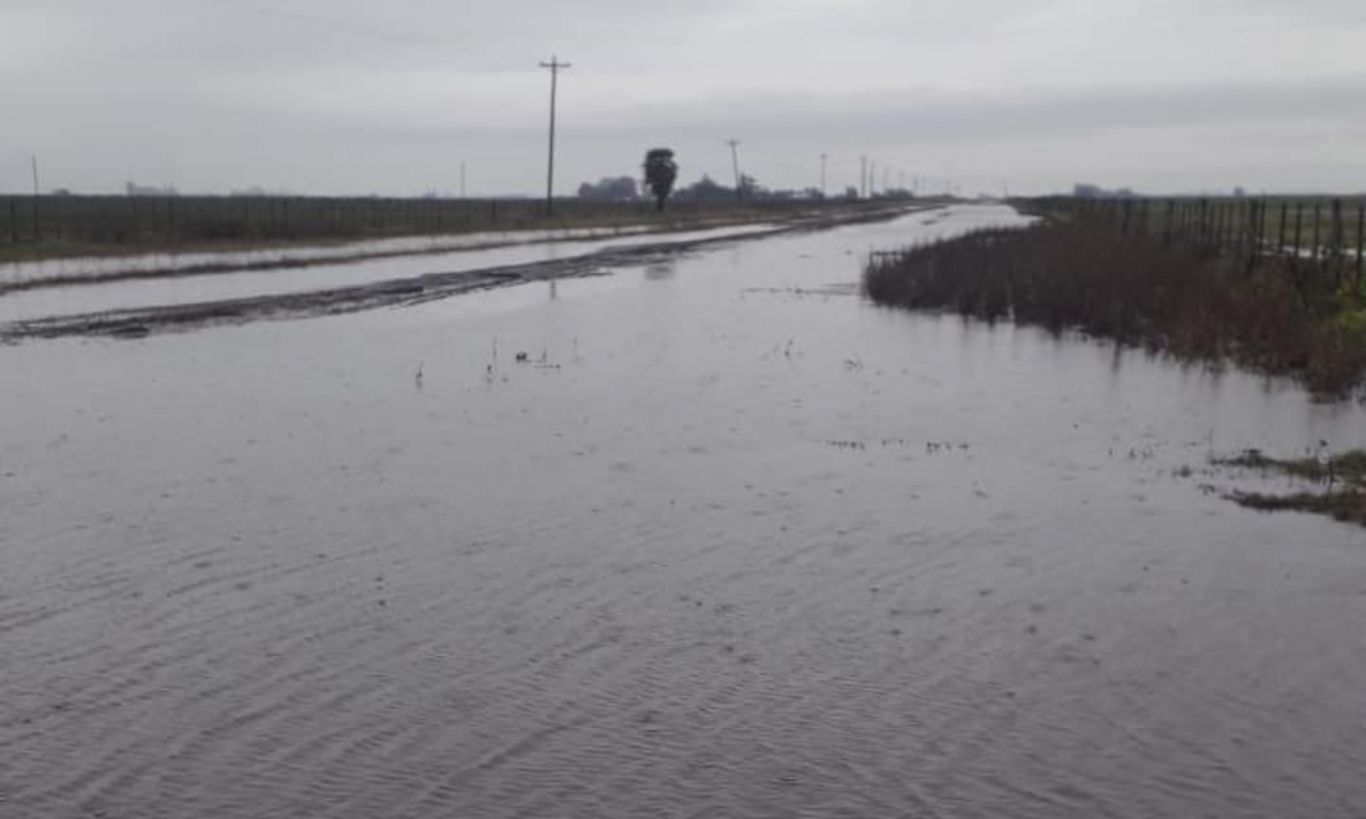 La soja en vilo tras las lluvias: el 21% del área sin cosechar está en zonas inundadas