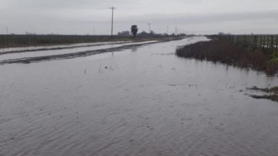 La soja en vilo tras las lluvias: el 21% del área sin cosechar está en zonas inundadas