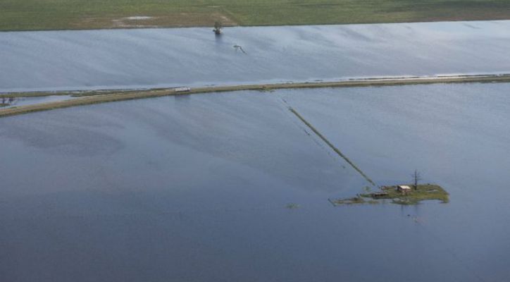 La soja en vilo tras las lluvias: el 21% del rea sin cosechar est en zonas inundadas