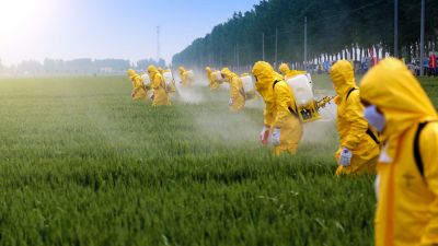 El informe MAHA evita atacar al glifosato y la atrazina, pero los agricultores exigen más participación