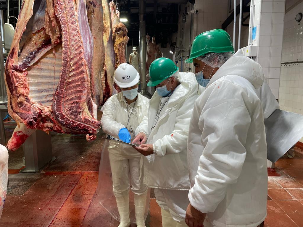 Paraguay avanza en la apertura del mercado japonés para su carne bovina: inspección sanitaria sería este año