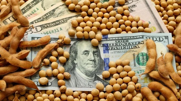 Dólares del agro: uno de cada cuatro se fugó o quedó "bajo el colchón", según un estudio
