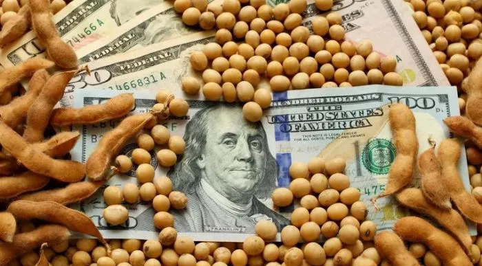 Dólar Agroexportador: Liquidación récord en Junio por fin de reducción de retenciones