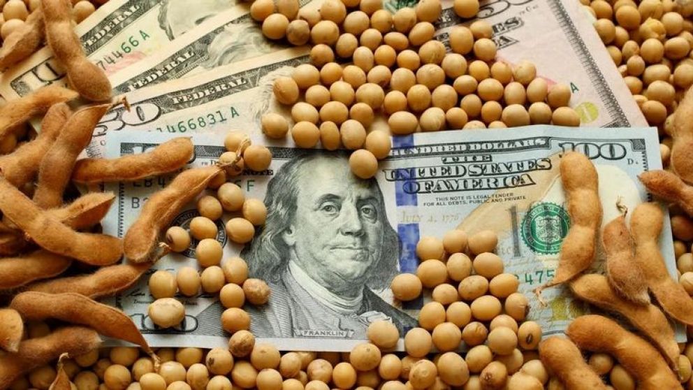 Dlares del agro: uno de cada cuatro se fug o qued "bajo el colchn", segn un estudio