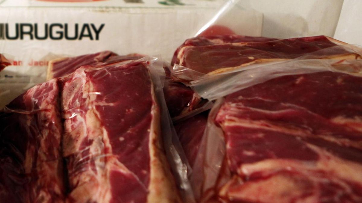 Uruguay potencia su músculo exportador: las carnes generaron 20% más ingresos en 2025 y un solo mercado aportó el 37%