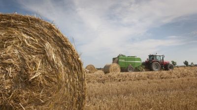  El estrés por sequía persiste en zonas ganaderas clave de EE.UU., pese a algunas mejoras