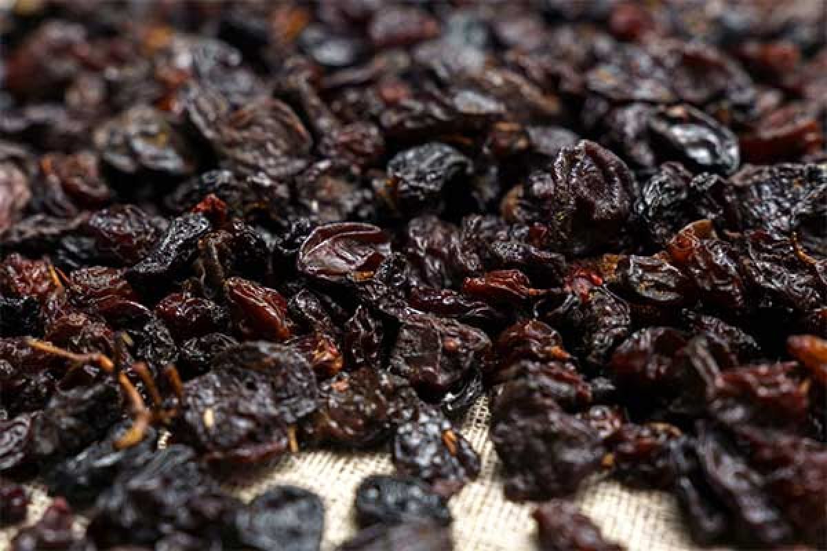 Fruta deshidratada: el remedio natural que alivia el estreñimiento crónico, según un estudio clínico