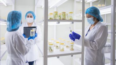 Récord histórico en biotecnología: startup argentina logra la mayor inversión seed del sector