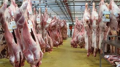 Lequio se convierte en el nuevo gigante de la carne argentina