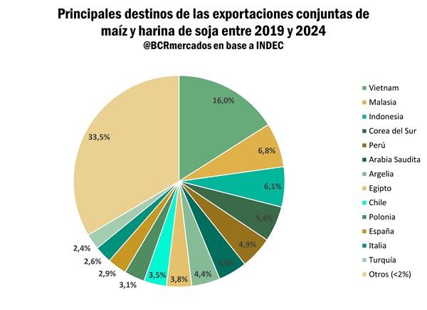 El principal destino del agro argentino en la lupa