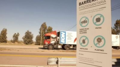 La barrera sanitaria se mantiene: Senasa prorroga por 60 días el ingreso de carne con hueso a la Patagonia