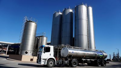 Exportaciones lácteas en alza: ¿Qué está impulsando este crecimiento en 2025?