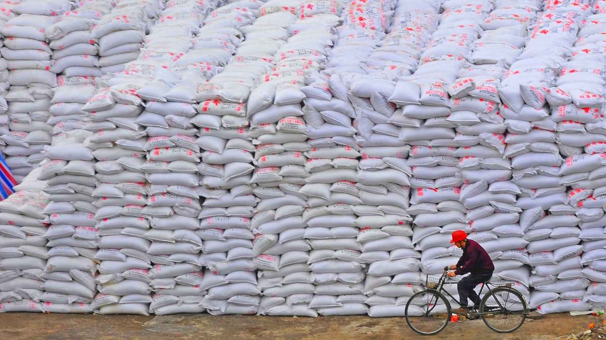 Materias Primas en Alerta: Por qué la caída generalizada de precios podría desvelar tensiones ocultas en el agro
