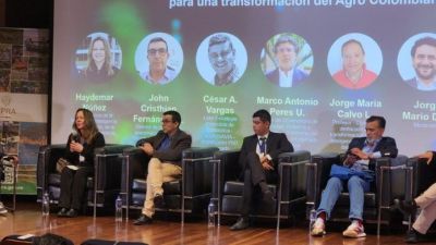IA Rural en Colombia: ¿Tecnología que cierra la brecha o nuevo obstáculo digital?
