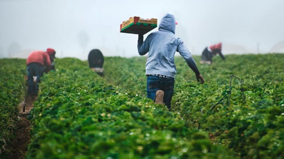 El lado oculto de la nueva ley agraria: incentivo al agro o privilegio fiscal?