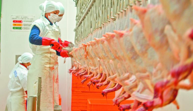 México levanta parcialmente prohibición al pollo brasileño y abre mercado selectivo