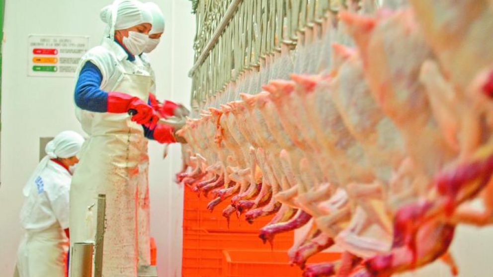 Mxico levanta parcialmente prohibicin al pollo brasileo y abre mercado selectivo