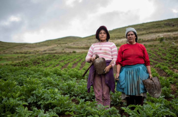 El lado oculto de la nueva ley agraria: incentivo al agro o privilegio fiscal?