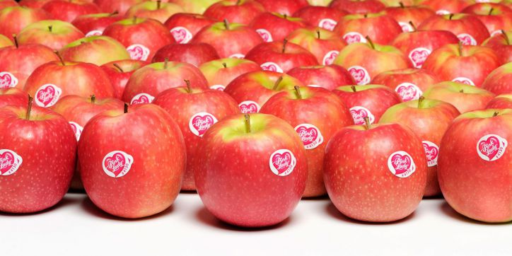 Manzana Chilena: Recuperación y Consolidación en Mercados Latinoamericanos