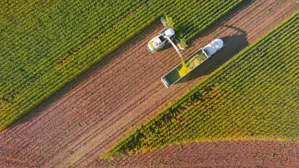 Biofuel Shake-Up: Is the U.S. Energy Market Facing Its Biggest RFS Reform Yet?