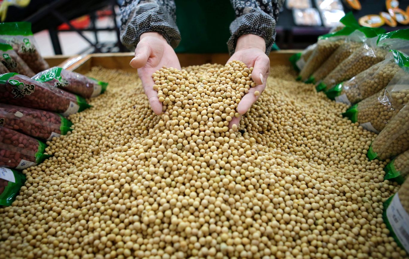Soybean Surge: What RVO News Means for Farmers & Markets