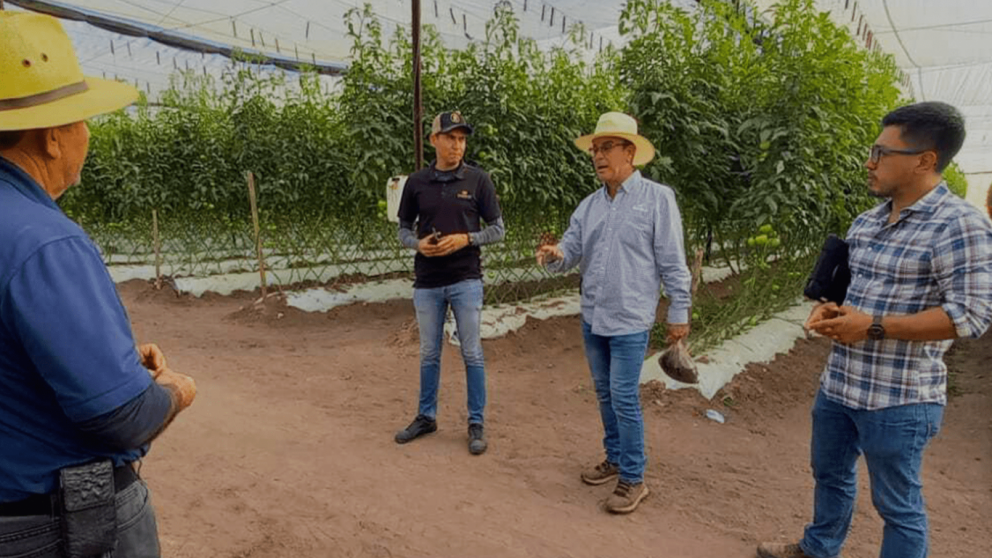AI Meets Irrigation: WayBeyond's "Inside Climate Prediction" Could Change Greenhouse Farming