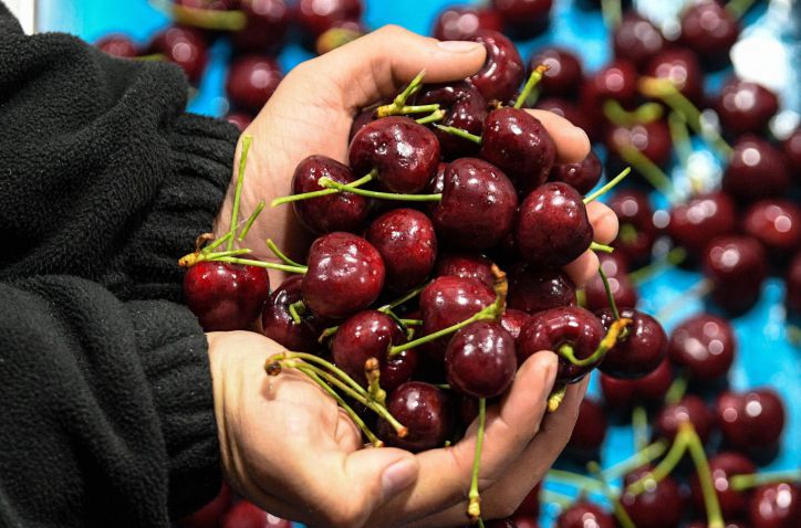Acuerdo Chile-India: Frutas de Chile al frente de las negociaciones del CEPA