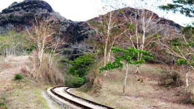 Plan Turquino: Pilar del agro Cubano en las zonas montañosas