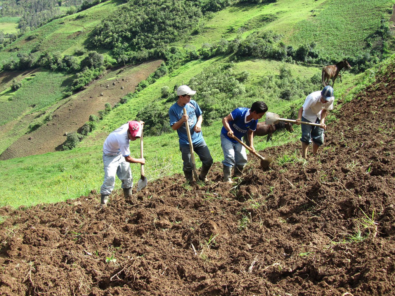 Tierra y Arraigo Rural: ¿Puede El Campo Detener la Huida de Jóvenes en Centroamérica?