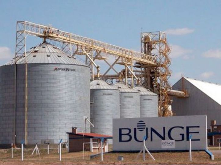 China Aprueba con Condiciones la Megafusión Bunge-Viterra y Reordena el Comercio Global de Granos