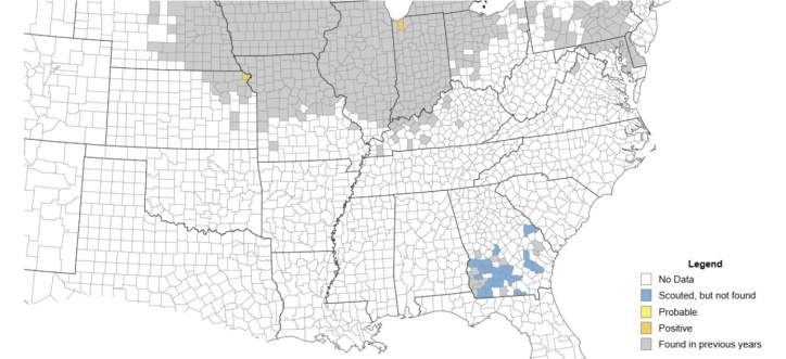 Corn Tar Spot Detected in Two Midwest States: What It Means Now