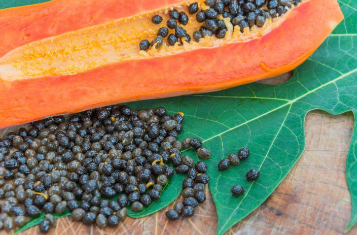 Semillas de Papaya: El Poder Oculto que Revoluciona el Agro y la Salud en América Latina