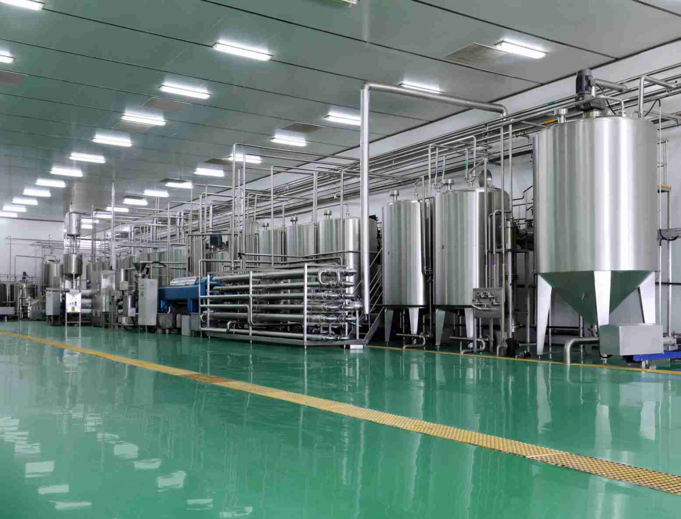 Yogurt Boom: Surging Protein Demand Sets U.S. Dairy Production Record