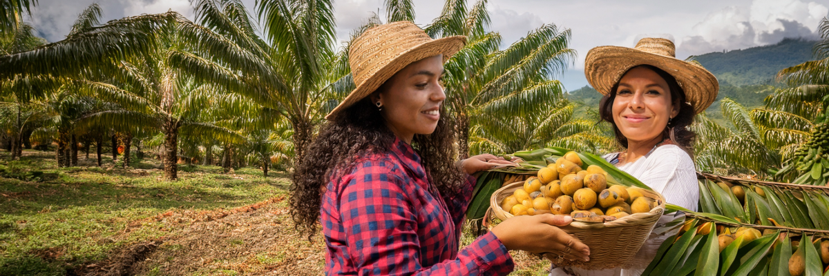 Palma colombiana: la inclusión de mujeres impulsa un nuevo modelo productivo