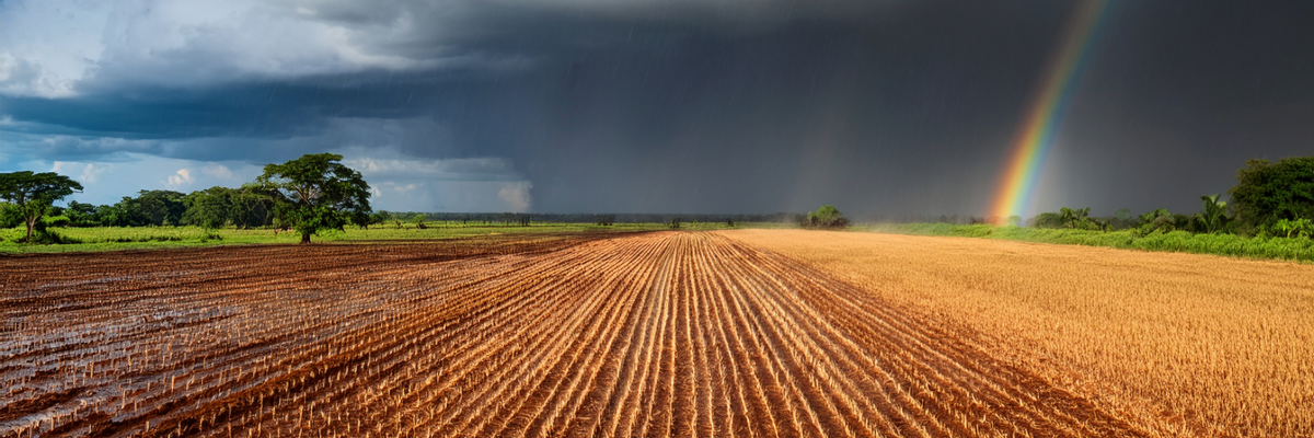 Perspectivas agroclimáticas Paraguay: lluvias clave para la campaña 2025