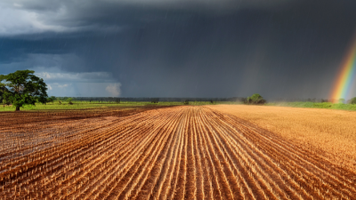 Perspectivas agroclimáticas Paraguay: lluvias clave para la campaña 2025