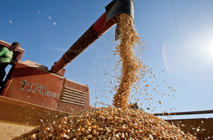 Perspectivas agroclimáticas Paraguay: lluvias clave para la campaña 2025