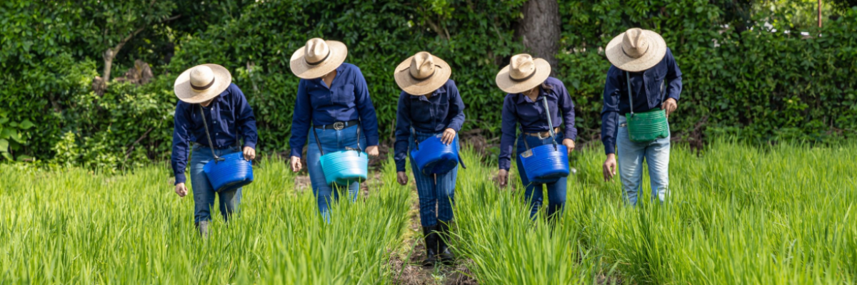Inversión de EE.UU. mejora formación agro en El Salvador
