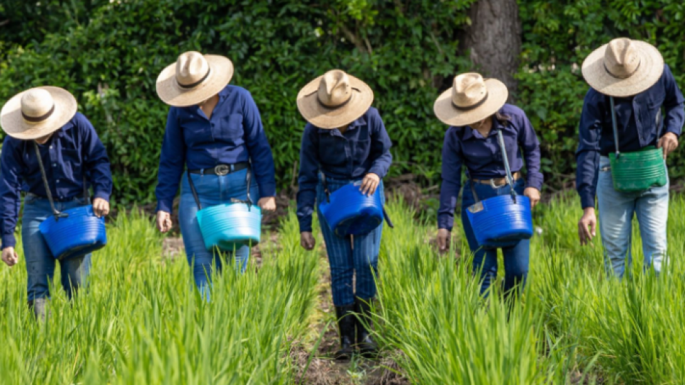 Inversin de EE.UU. mejora formacin agro en El Salvador