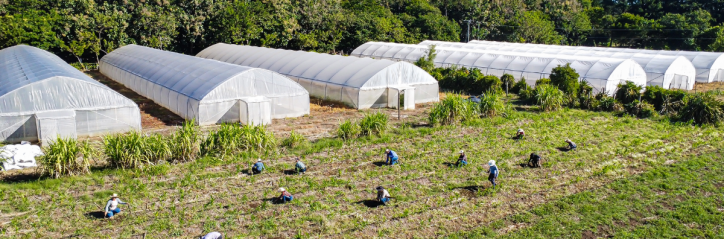 Inversión de EE.UU. mejora formación agro en El Salvador