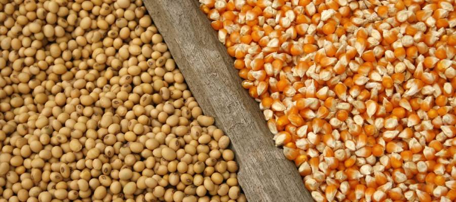Tensión geopolítica y clima de negocios global impulsan los commodities, pero el trigo preocupa