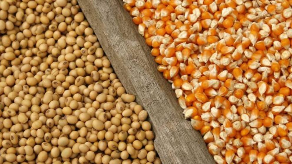 Tensin geopoltica y clima de negocios global impulsan los commodities, pero el trigo preocupa