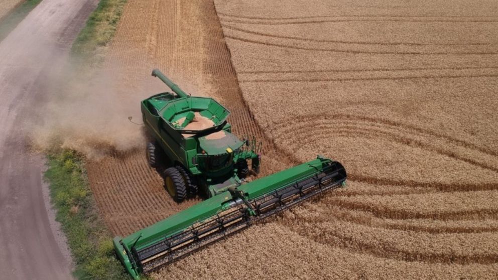 Wheat Surprise: Crop Looks Great, But the Harvest Is Crawling-What's Holding It Back?