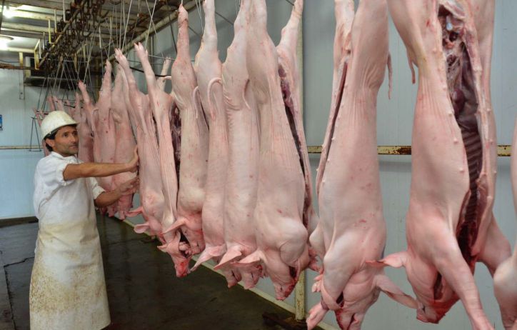 Sector porcino Paraguayo: hacia 100.000 madres reproductoras en 2030