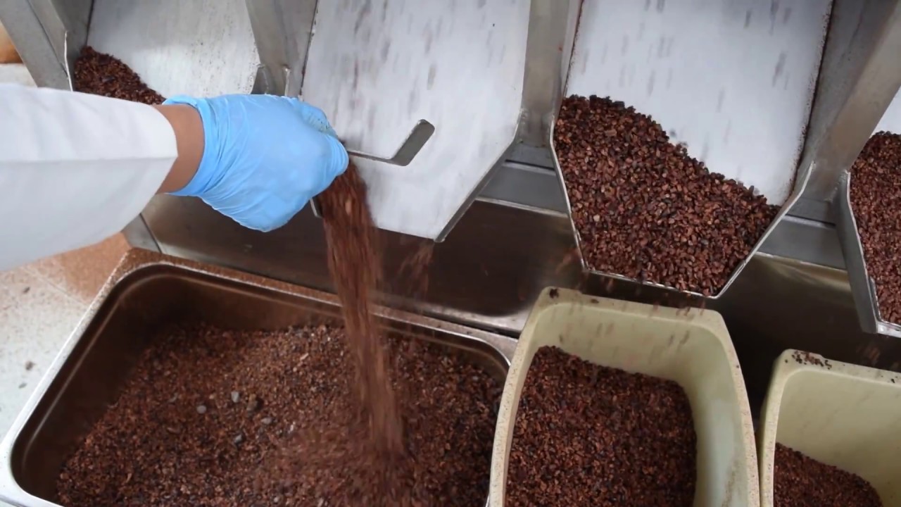 Nueva planta de cacao en Polochic impulsa valor agregado y desarrollo rural