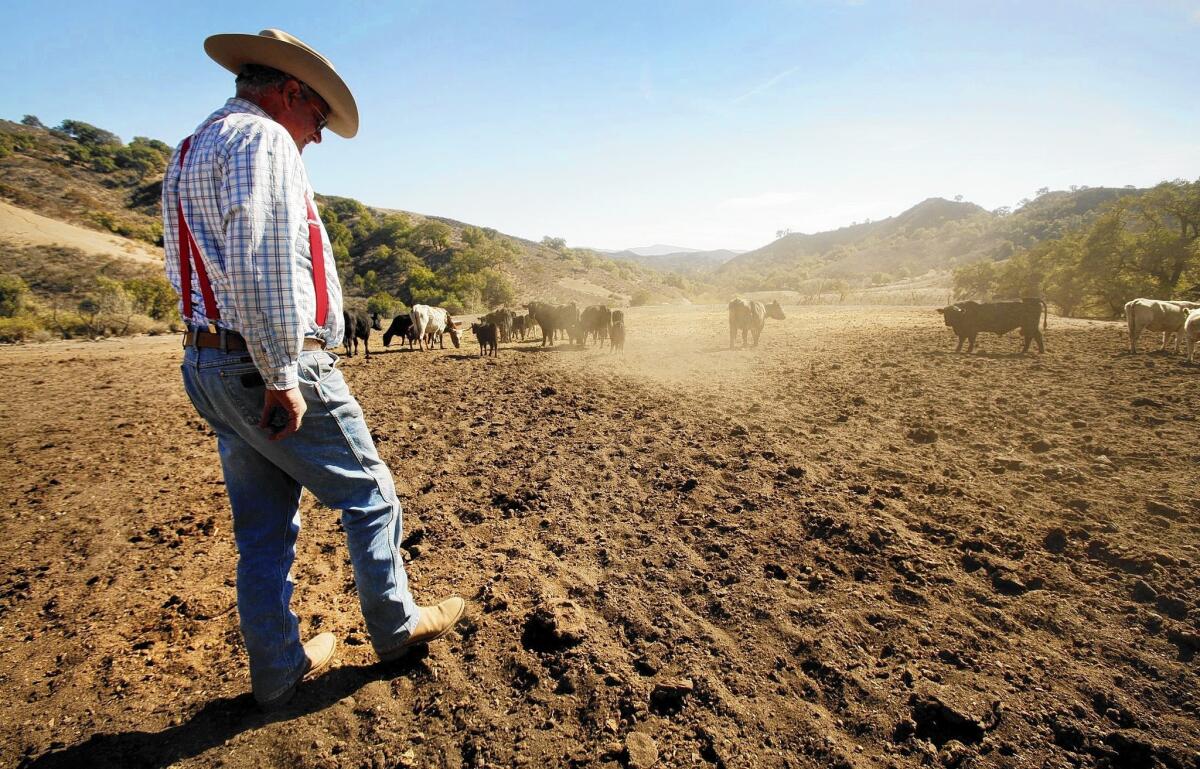 How climate misinformation is putting U.S. Agriculture at risk