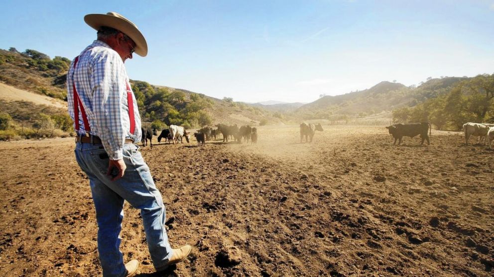 How climate misinformation is putting U.S. Agriculture at risk